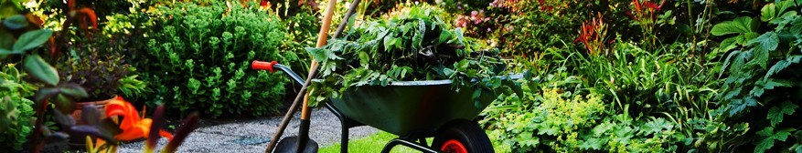 Tools and accessories for home and garden maintenance